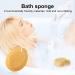 Bath Sponge Set - 4 Exfoliating Shower Sponges with 2 Adhesive Hooks for Adults and Kids - Buy Online on GoSupps.com