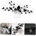 Beatifufu Black Crystal Hair Accessories Inserted Hair Comb Women Hair Accessories Women Hair Comb Elegant Headdress Fashion Insert Comb Rhinestone Hair Comb Women Insert Comb - Buy Online on GoSupps.com