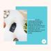 Proactiflora Cultures Complex - 19 Bacterial Strains & Inulin | 30 Billion KBE | 120 Vegan Gastrointestinal Capsules | Zenement - Buy Online on GoSupps.com