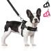 Eyein no-pull dog harness with leash dishes with soft padded reflective adjustable breast dishes for puppies small dogs large dogs pets cats (black l) black l