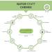 Organic Barley Grass Capsules 500 pcs | High Dose 1080mg | 100% Pure Vegan Supplement | DE- KO-007 Certified | German Cultivation - Buy Online on GoSupps.com