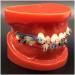 Dytah Toothpodont - Orthodontic Teeth Model with Mental Brackets & Ligature Ties | Red Study Tool for Teaching & Learning - Buy Online on GoSupps.com
