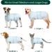 Kuoser Dog Recovery Suit - Breathable Post-Op Body for Male & Female Dogs | Leakage Protection & Anti-Licking Design | Green Star (1 Pack) - Buy Online on GoSupps.com