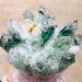 Natural Crystal Rough Natural Green Ghost Phantom Quartz Crystal Cluster Rock Stones and Crystals ReikiSpecimen Home Deco for Decoration Stone Generator (Size : 700-800g) - Buy Online on GoSupps.com