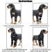 Dog Knee Brace Adjustable Dog Front Leg Brace with Metal Spring Support and Reflective Strap Dog Leg Support for Surgery Recovery Front Leg Injury|Black (L) - Buy Online on GoSupps.com