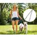 Kissral Metal Double Dog Lead Double Ended Metal Lead for Dogs Durable Dog Chain for Two Dogs 2 Way No Tangle Coupler Double Pet Dog Chain Lead Leash for Walking Training (4.0mm70cm) - Buy Online on GoSupps.com