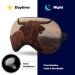 Buy Young Scottish Highland Sleep Mask - Soft Light-Blocking Eye Cover for Women | Adjustable Strap | Ideal Sleeping Mask - Buy Online on GoSupps.com