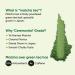 Tencha Matcha Ceremonial Grade Green Tea Powder - Vegan, No Artificial Sweeteners (50 Servings) - Sourced from Shizouka, Japan - Buy Online on GoSupps.com