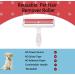 UBUL Pet Hair Remover Roller - Self-Cleaning Base - Eco-Friendly Portable Solution for Furniture - Dark Red - Buy Online on GoSupps.com