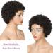 Ms Taj Short Human Hair Afro Wigs for Black Women - Brazilian Virgin Curly 150% Density - Natural Black Kinky Style - Buy Online on GoSupps.com