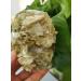 300g-400g Natural Crystal Gem Crystal s - Buy Online on GoSupps.com