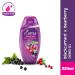 Fiama Di Wills Black Currant Bearberry Radiant Glow Shower Gel | 250ml - Nourishing Skincare for Radiant Skin | Buy Online Internationally - Buy Online on GoSupps.com