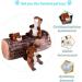 IFOYO Squeak Dog Toy - Durable Squirrel Hide and Seek Puzzle Plush Toy for Small/Medium Dogs - Buy Online on GoSupps.com