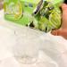 Nixie Sparkling Water Lime Ginger 12 fl oz Cans 24 Pack - Organic, Non-GMO, 0 Calories, Sugar, Sodium - Buy Online on GoSupps.com