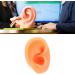 Reusable Flexible Fake Ear Model for Acupuncture Training - Soft Multi-Purpose Right Ear - Buy Online on GoSupps.com