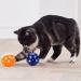 Voviggol 12-Pack Jingle Balls Cat Toys with Bells - Colorful Pet Toys for Kittens & Cats - Fun Pounce & Chase Playtime - Buy Online on GoSupps.com