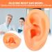 Buy Professional Silicone Left Ear Model - Anatomical Human Ohr Simulation for Acupuncture Training | International Shipping Available - Buy Online on GoSupps.com