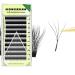 W Lashes 0.05mm C/D Curl 4d Mink Eyelashes Black Natural Soft Eyelash 4D Premade Volume Fans False Lash YY Eyelash Extensions (W-0.05mm-C-Mix length)