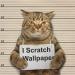 Kitty Be Good Stop Cat Scratching Spray Protect Furniture And Wallpaper 500ml - Buy Online on GoSupps.com