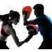 Linksworld Hand Targets Curved Boxing Kick Pad - 2pcs Set for Martial Arts Training - Buy Online on GoSupps.com