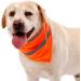 Fluorescent Yellow Triangle Dog Bandana - Adjustable Reflective Pet Scarf for Night Walks Camping & Travel - Buy Online on GoSupps.com
