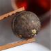 Yunnan Th Pu-erh Puer Tuo Cha Petit gluant en conserve 100g Riz Pu Er Th Cuit - Buy Online on GoSupps.com