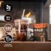 HALO Iced Mocha Latte Energy Drink Powder | Healthy Coffee Mix with Electrolytes Caffeine Vitamins - 20 Calories Keto-Friendly - 12 Sticks - Buy Online on GoSupps.com
