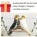 NINGVIHE Bird Mirror Bird Swing Parrot Cage Toys Bird Toy for Parrot Parakeets Conures Cockatiels Cage Swing Wooden Fun Play Toy for Birds (2 PACK) - Buy Online on GoSupps.com