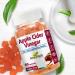 NEW ROOTS HERBAL Apple Cider Vinegar Gummies - 60 Veggie Gummies | Sugar-Free, Non-GMO & Gluten-Free | Supports General Health - Buy Online on GoSupps.com