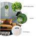 Alipis 1set Home Wall Hanging Decoration Eucalyptus Garlands Wall Adornment Indoor Do It Yourself - Buy Online on GoSupps.com