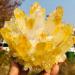 Yellow Tibetan Quartz Crystal Cluster Specimen (Size : 500-550g) - Buy Online on GoSupps.com