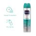 ABOVE Strong and Classic 48-Hour Antiperspirant Deodorant for Women | Peony & Black Currant | Alcohol-Free Dry Spray | 3.17 oz - Protects Against Sweat & Odor - Buy Online on GoSupps.com