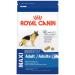 Royal Canin Maxi Adult 5+ Dog Food 4kg