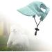 Buy Predolo Pet Sports Hat - Fashionable Dog Sun Protection Cap with Ear Holes - Green XL Baseball Cap for Small Dogs - Buy Online on GoSupps.com