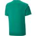 PUMA Unisex Kids Teamultimate Jersey Jr T-Shirt 152 - Stylish Pepper Green for Active Children | International Shipping Available - Buy Online on GoSupps.com