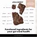 JOULEBODY Good Mood Organic Cacao Cascara Seedbar | 12 PM Energy Superfood Pack of 6 | International Shipping - Buy Online on GoSupps.com