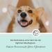 Annimally Dental Spray for Dogs 200ml | Fresh Breath & Tartar Prevention with Peppermint Sage & Propolis - Buy Online on GoSupps.com