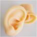 Silicone Ear Model for Acupuncture - Life Size Human Ear Model Lifelike Artificial Ear Model for Science Class Teaching Display Studs Earring Display Props