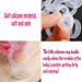 10 Pack Baby Silicone Ring Pacifier Holder - Transparent Adapter & Clip for Infant Pacifiers - Buy Online on GoSupps.com