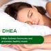 Emerald Labs DHEA 50mg - Cognitive Function & Hormone Support - 60 Capsules - Buy Online on GoSupps.com