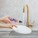 Caldrea Dish Soap  Biodegradable Dishwashing Liquid Made with Soap Bark and Aloe Vera  Orchid Pink Lotus Scent  16 oz - Buy Online on GoSupps.com