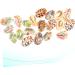 40 Pcs Summer Earrings Colorful Jewelry Bracelet Beads DIY Shell Earring Pendant Charm Spiral Miss 1.9x1.6x1cm Colorful - Buy Online on GoSupps.com