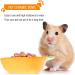 ULTECHNOVO Ceramic Carrot Food Bowl for Small Animals - Hamster Feeding Bowl - Buy Online on GoSupps.com