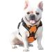 Phoepet Reflective Adjustable Dog Harness - Anti-Educational Training Handle ID Card & XS Size in Orange | 2 Metal Hooks 3 Snap Buckles Easy Fit - Buy Online on GoSupps.com