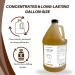 Liquid Castile Soap 1 Gallon - Unscented Organic Vegan Natural Body Wash & Baby Soap - All Natural Hand Soap for Sensitive Skin - Eco-Friendly Cleanser - Buy Online on GoSupps.com