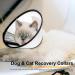 GUIYANIU Dog Cone Collar After Surgery Recovery Collars for Dogs Cats Cats Dog Cones for Anti-Licking Pet Protective Neck Cone Stop Licking Adjustable Plastic Soft Collar for Wound Dogs and Cats - Buy Online on GoSupps.com