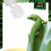 Terra Exotica Jungle 5.0 UVB 13W Full Spectrum Daylight Lamp - Compact Mini Terrarium Light | International Shipping Available - Buy Online on GoSupps.com
