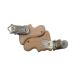 GLASSNOBLE Natural Beech Wood Pacifier Strap & Clip - Eco-Friendly Pacifier Chain with Star Accessories - International Shipping Available - Buy Online on GoSupps.com