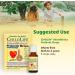 Buy CHILDLIFE ESSENTIALS InfantBiotics - Vegan Baby Probiotic Drops for Constipation & Gas Relief | Infant & Toddler Gastrointestinal Health - 0.36 Fl Oz - Buy Online on GoSupps.com