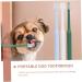 SEWOART 4pcs Toothbrush Plaque off Cats Cat Toothpaste and Brush Kit Kitten Supplies Pet Accessory Plastic - Buy Online on GoSupps.com